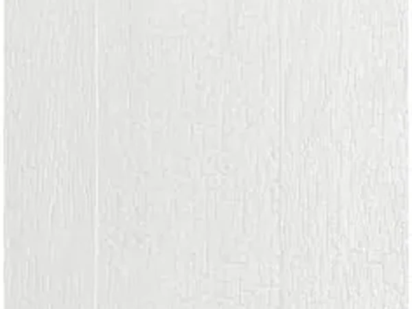 White — Charred Wood Texture