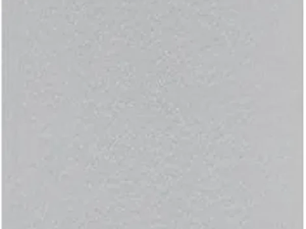 Light Gray — Lychee Surface