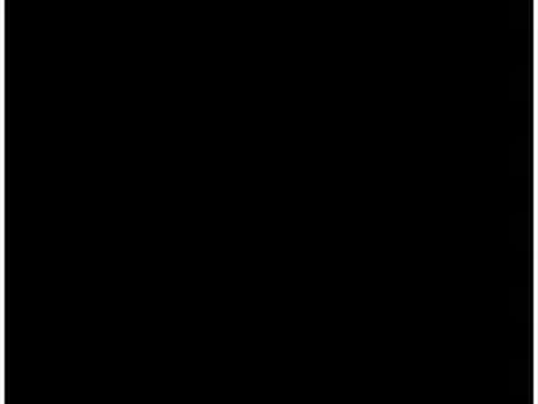Black — Vein Stone